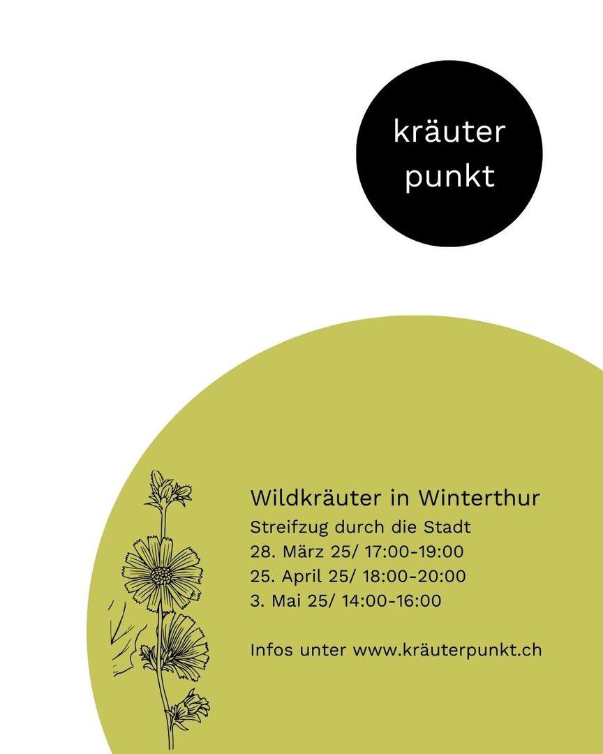 Wildkräuter in Winterthur März 25